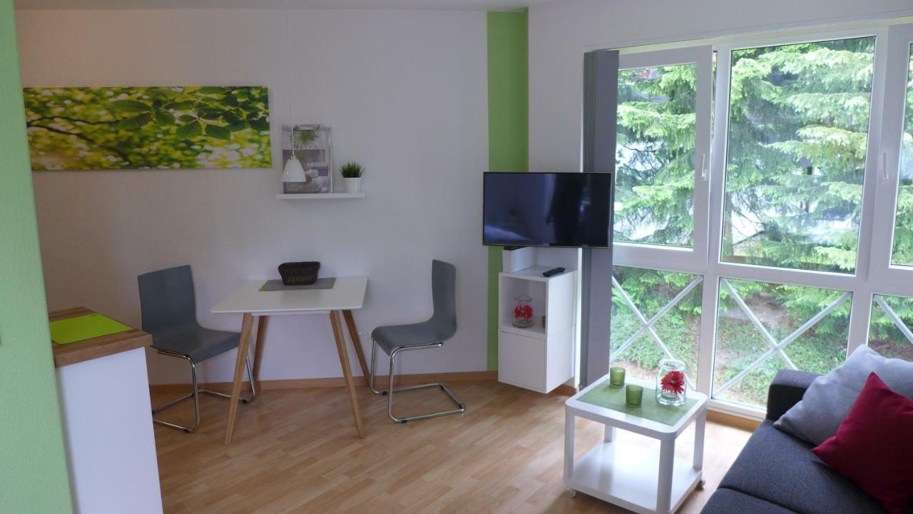 Appartement Schultz - Grüne Aue Braunlage Exterior foto
