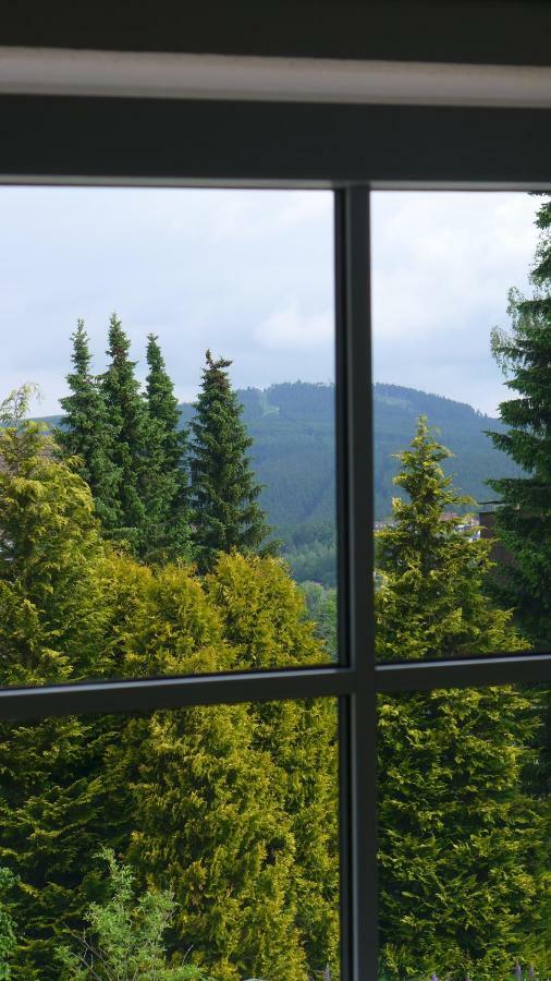 Appartement Schultz - Grüne Aue Braunlage Exterior foto